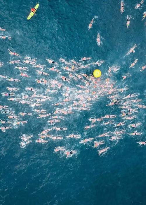 Glenalbyn-Masters-Open-Water-Swimming-Photo